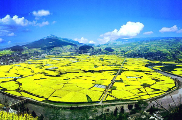 7FSA6P5E4RFO0006_副本 7FSA6P5E4RFO0006_副本