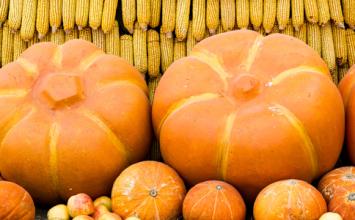 u=2163136327,1681819951&fm=21&gp=0 u=2163136327,1681819951&fm=21&gp=0