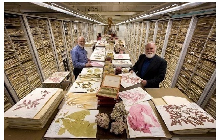 14342736415199577913_large 14342736415199577913_large