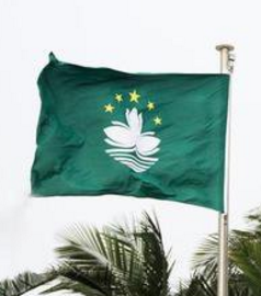 澳门新增效忠声明 澳门新增效忠声明