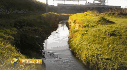 1120053029_14809041745481n 1120053029_14809041745481n