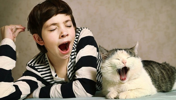 MAIN201612071047056941048467310 MAIN201612071047056941048467310