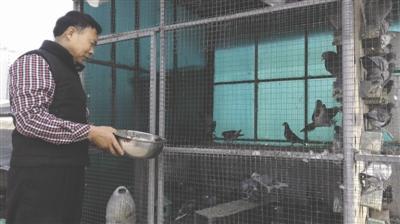 退休民警自创追逃攻略3 退休民警自创追逃攻略3