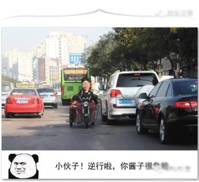 1120093661_14814115684361n 1120093661_14814115684361n