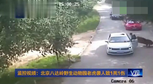 W020161212008755057753 W020161212008755057753