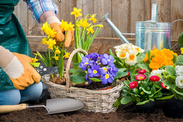 330412-14111314462061 330412-14111314462061