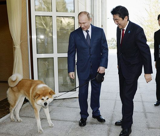 20161213144848_3c98599451e9a90dff844706c8c44c31_1 20161213144848_3c98599451e9a90dff844706c8c44c31_1