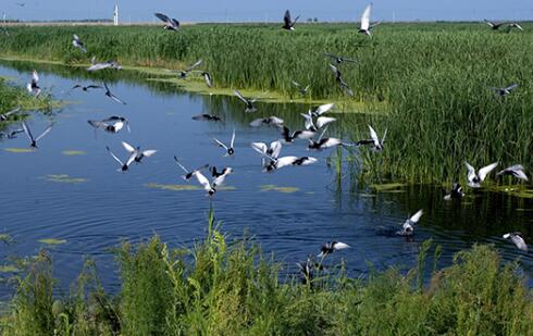 QQ截图20161213161634 QQ截图20161213161634