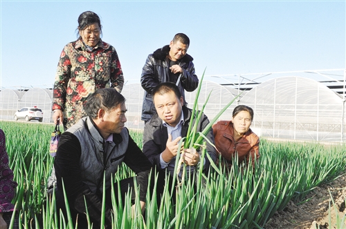 res01_attpic_brief-23040565 res01_attpic_brief-23040565