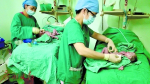 10318277724132470266 10318277724132470266