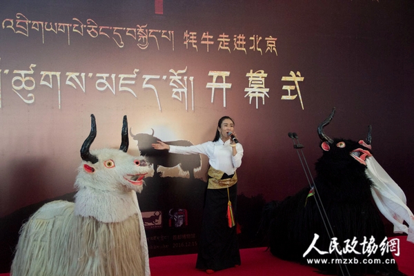 展览开幕式现场 展览开幕式现场