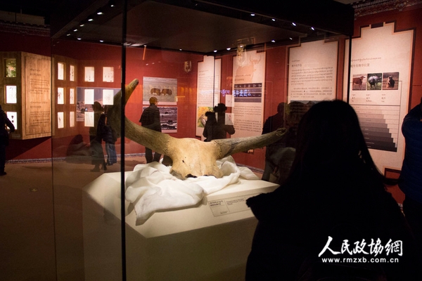 展厅现场1 展厅现场1