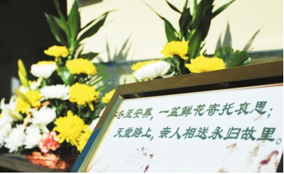 W020161215423711413615 W020161215423711413615