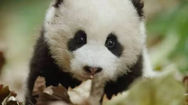 159185c306554e5eb1ef2ef055ba559c_th 159185c306554e5eb1ef2ef055ba559c_th