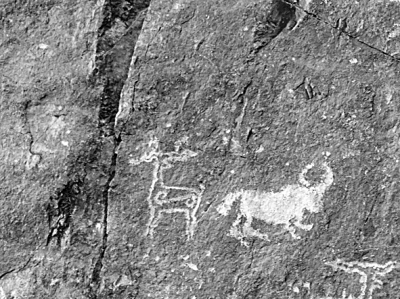 西藏阿里地区日土县新石器时代的牦牛岩 西藏阿里地区日土县新石器时代的牦牛岩