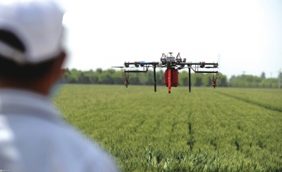 12854783_042861 12854783_042861