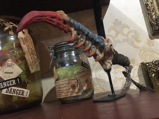 奇异生物标本(模型)