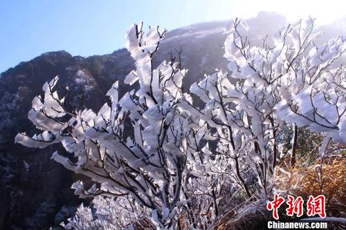 新一轮降温致广东金子山再现冰雪美景（图）