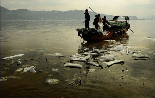 c6e21a4f78f0f736f3b26fd50a55b319eac4131f c6e21a4f78f0f736f3b26fd50a55b319eac4131f