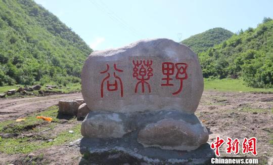 工作组将老窝铺村打造全国首个野药谷 张鑫 摄 工作组将老窝铺村打造全国首个野药谷 张鑫 摄