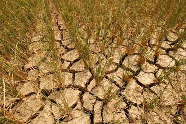 75F4089B3A3FF34F7CF0F65DF076DE8D 75F4089B3A3FF34F7CF0F65DF076DE8D