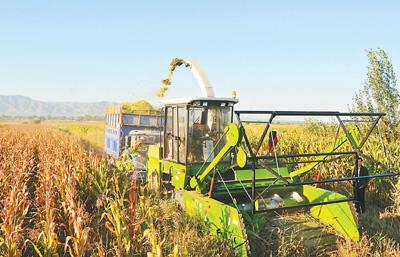 eeec61a249195f54584daf52155005b9 eeec61a249195f54584daf52155005b9