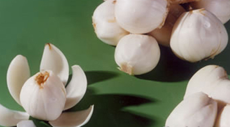 1029072ae166f6efae 1029072ae166f6efae