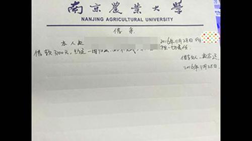 南京一大学生利用校园贷骗180余万 涉及数十同学