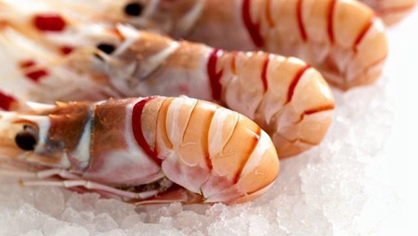 MAIN201612201056546791161740096 MAIN201612201056546791161740096