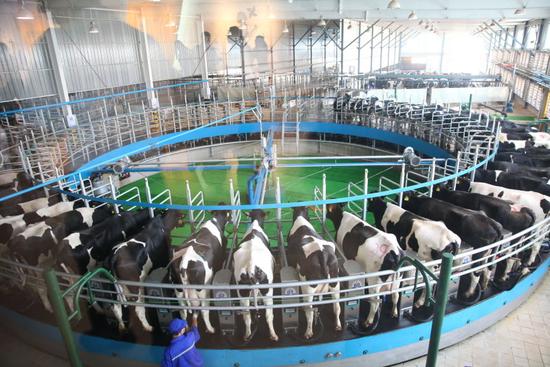 catchpic-6-6A-6AE163812FA810ACE853A372BDE594C7 catchpic-6-6A-6AE163812FA810ACE853A372BDE594C7