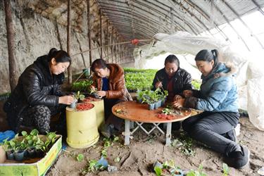 c460afb0e3ec46ab84ffa33f6cea1485 c460afb0e3ec46ab84ffa33f6cea1485