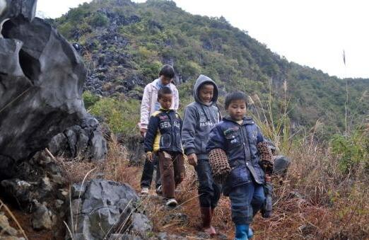 QQ截图20161220161218 QQ截图20161220161218