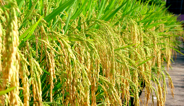 109_副本 109_副本