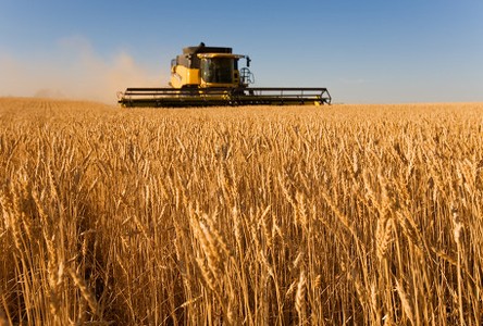 101150598683 101150598683