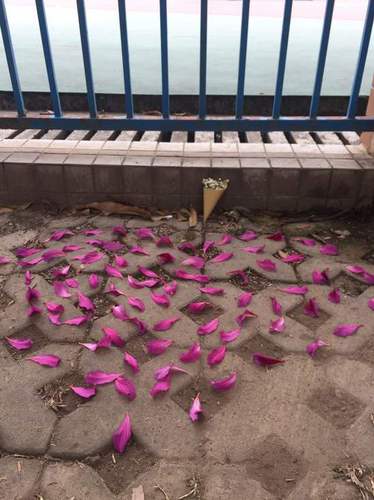 现场摆了心形的紫?；ò旰突ㄊ赖? width=