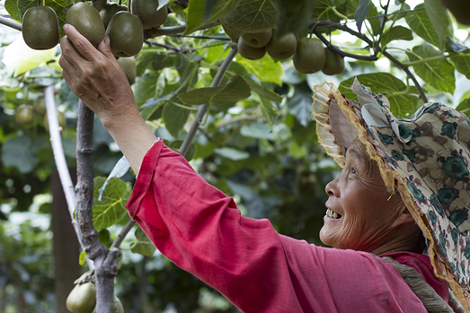 127122097_14138587096871n 127122097_14138587096871n