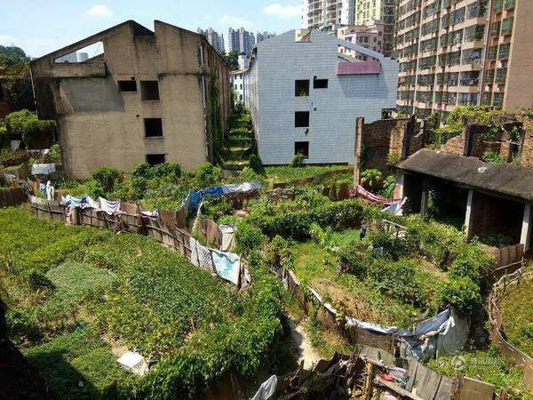 23dee3a0-09a7-480e-baf0-cdc398eb5d09 23dee3a0-09a7-480e-baf0-cdc398eb5d09