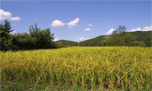 20161008030428_76552 20161008030428_76552