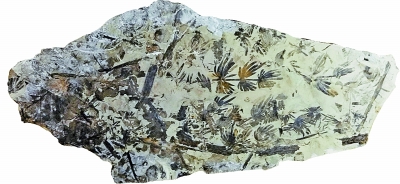 res06_attpic_brief res06_attpic_brief