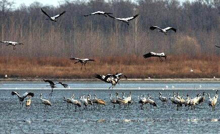 QQ截图20161222155420 QQ截图20161222155420