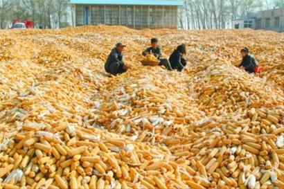 U10132P1195DT20131029100527 U10132P1195DT20131029100527