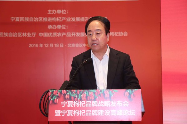 宁夏回族自治区区委常委、政府副主席李锐发言