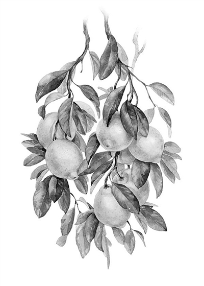 smsb2016122309p11_b smsb2016122309p11_b