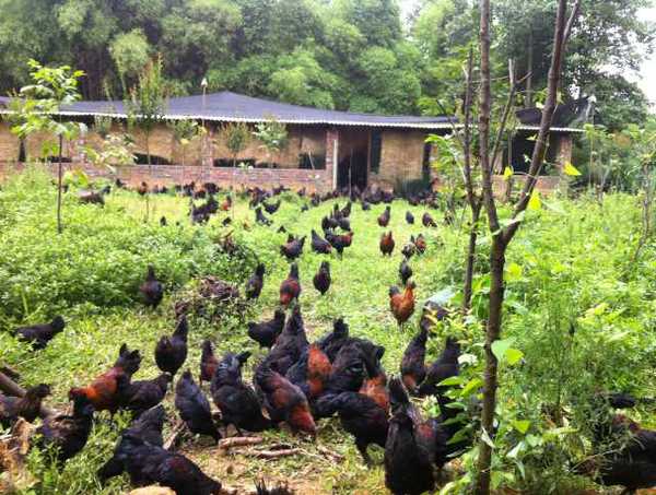 1-140925164425N8 1-140925164425N8