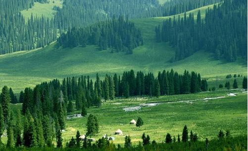 201271910471165 201271910471165