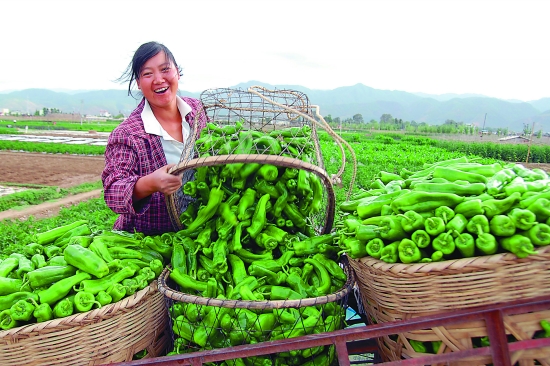 农民增收 农民增收