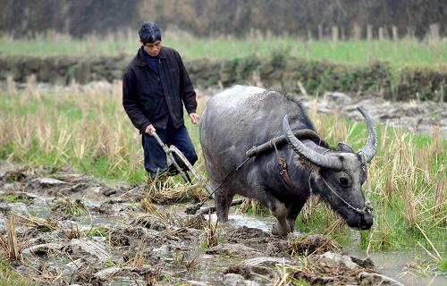 Img337754970 Img337754970