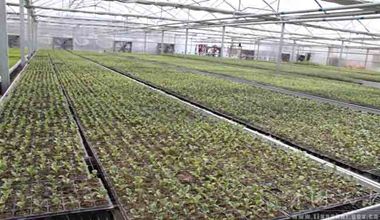 U5P2T1D253344F11DT20150305103727 U5P2T1D253344F11DT20150305103727