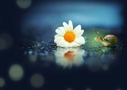 8682993966ab3db 8682993966ab3db