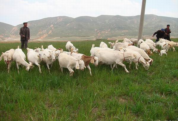 20140118113516161 20140118113516161